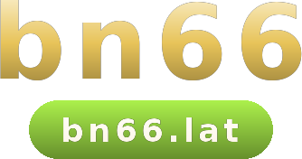 bn66 logo